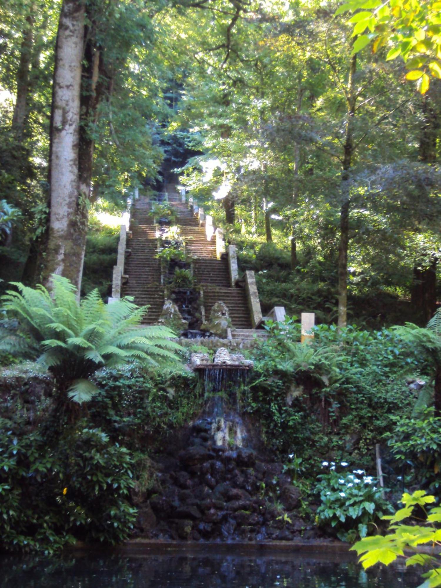 Parque Tematico Vale De Mouro Villa Exteriör bild