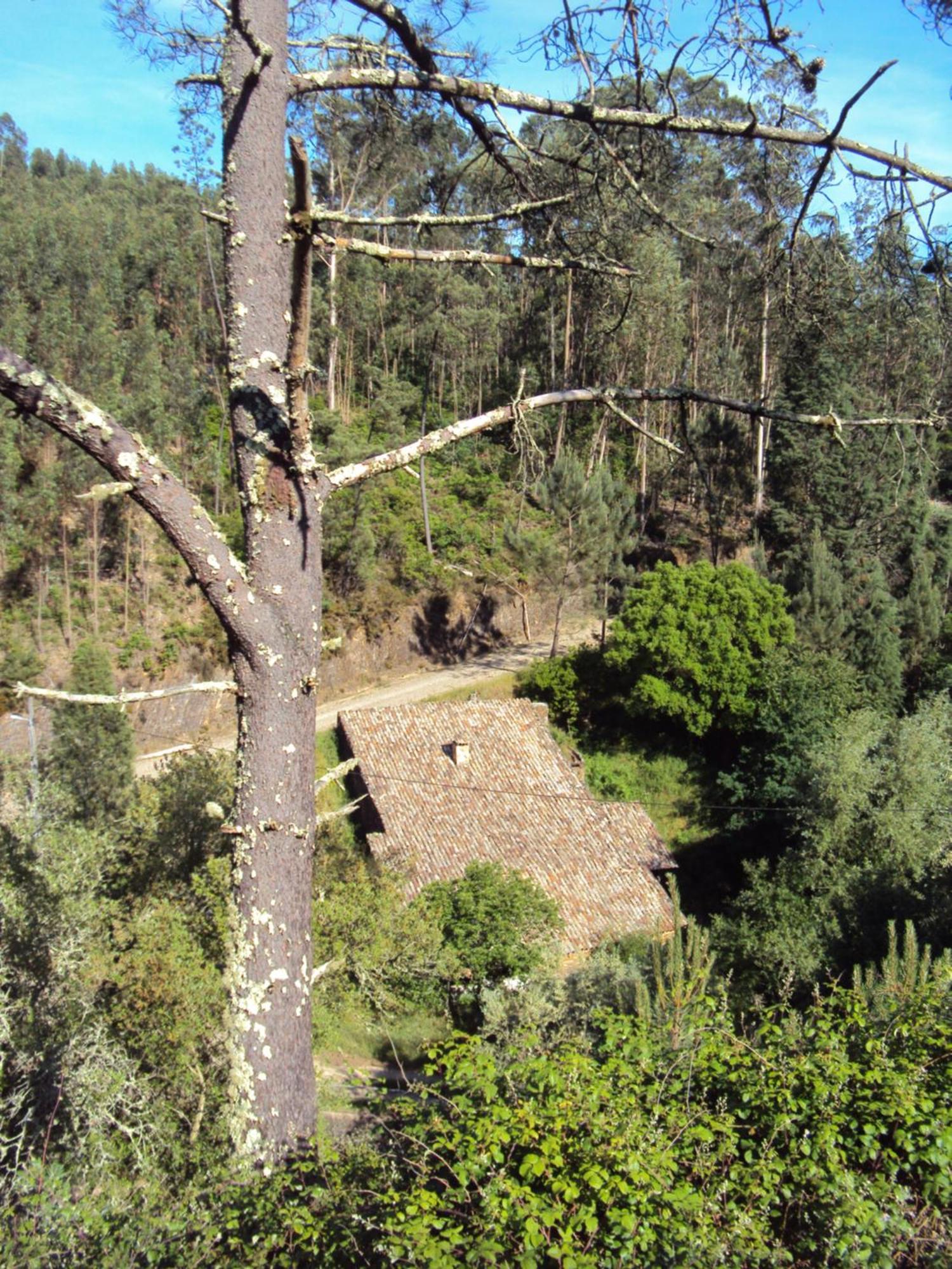 Parque Tematico Vale De Mouro Villa Exteriör bild